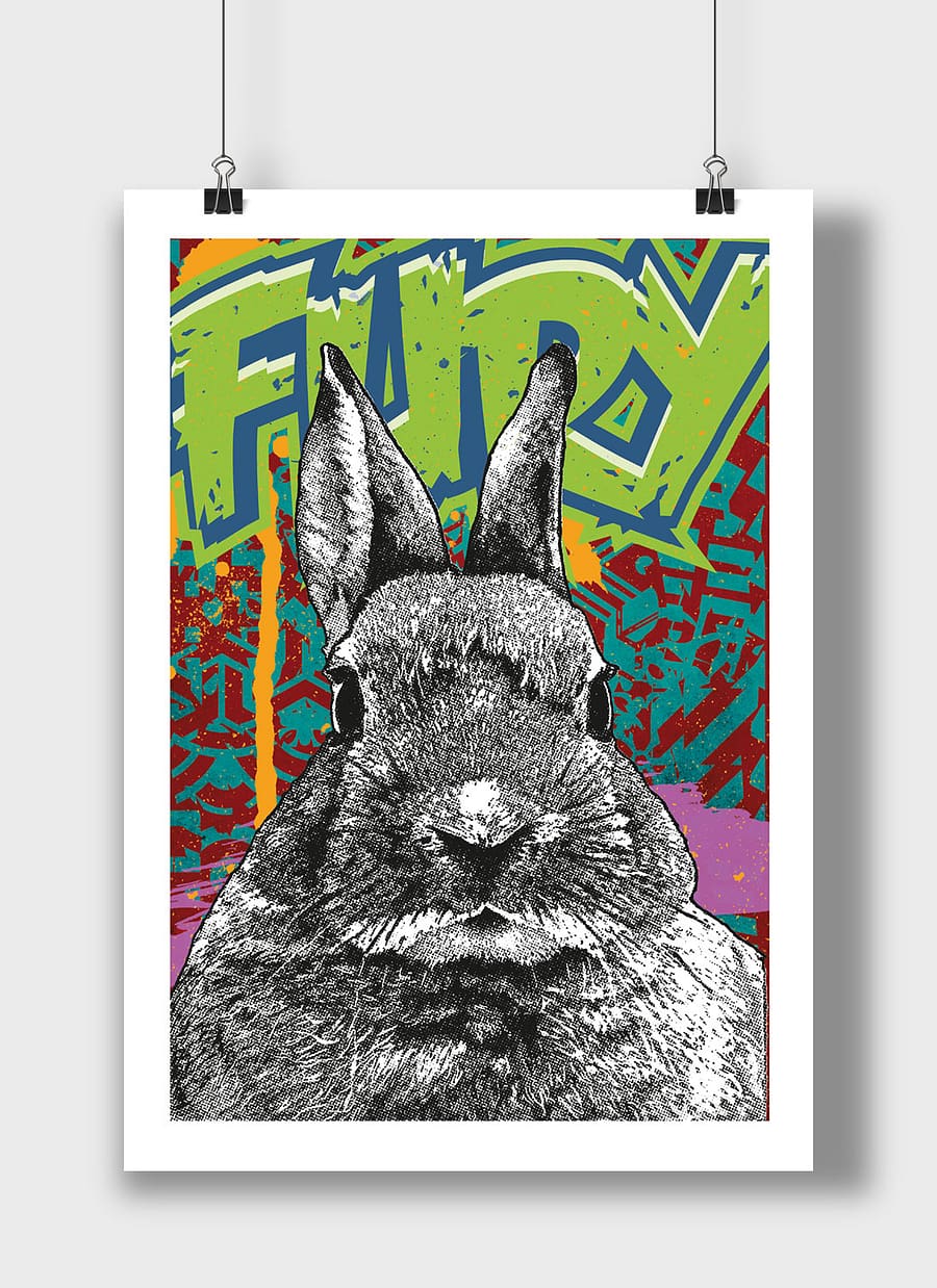 poster rabbit fury