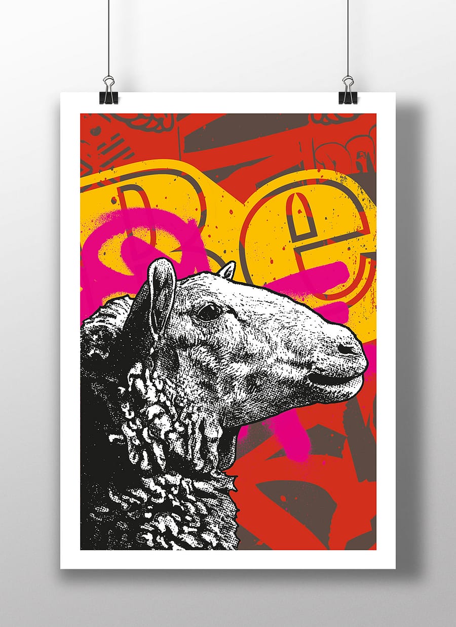 poster sheep BE